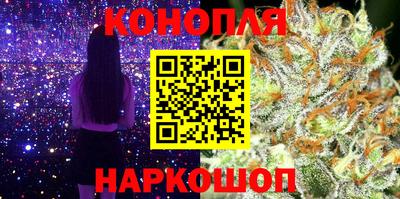 стаф Жуковский
