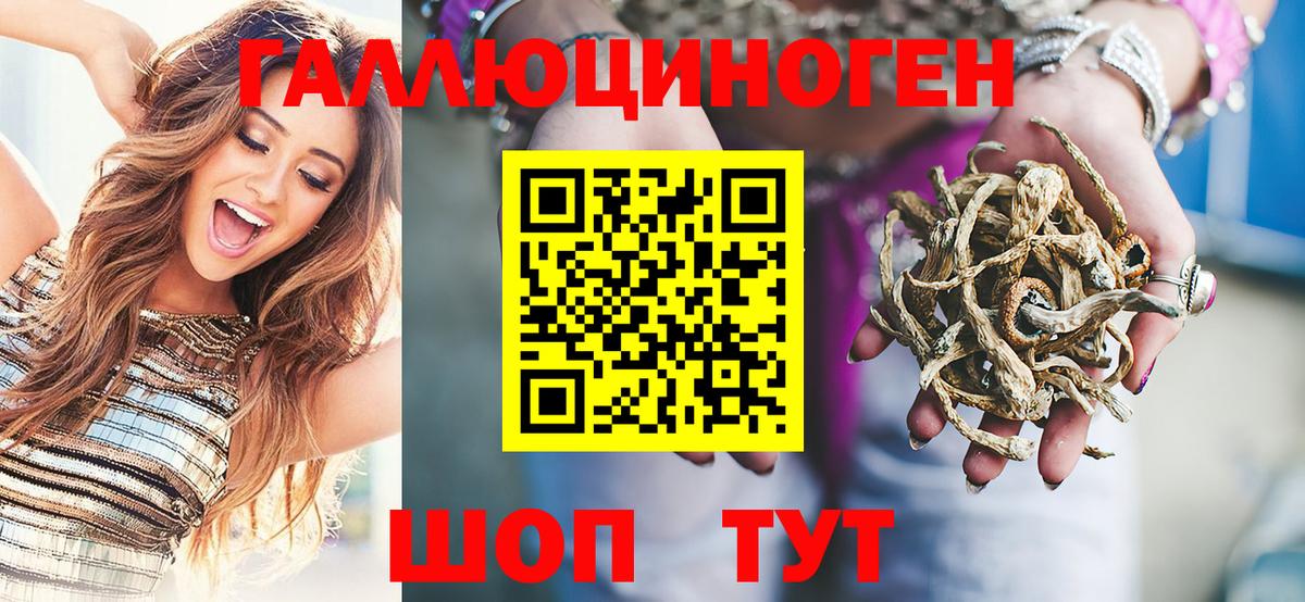 Нижний Новгород  сколько стоит  Вход с VPN  Галлюциногенные грибы Psilocybine cubensis 