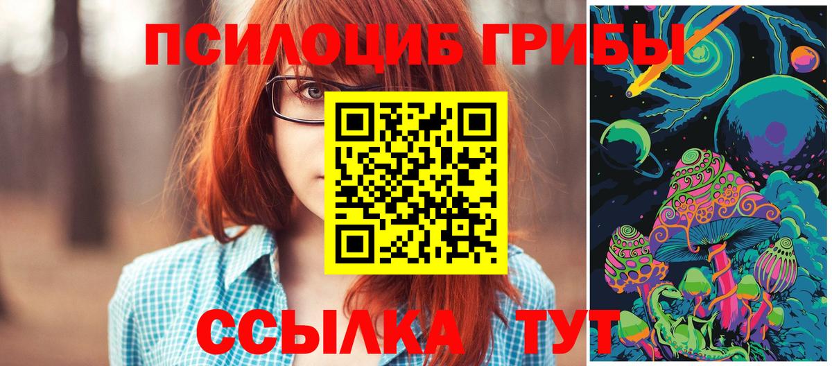 Псилоцибиновые грибы Psilocybe  Нижний Новгород 