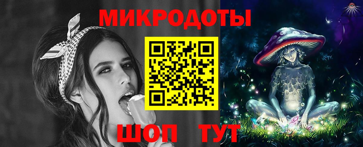 Псилоцибиновые грибы Psilocybine cubensis Нижний Новгород